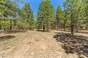 763 E Flat Rock Ridge, Flagstaff, AZ 86001 - Photo 68