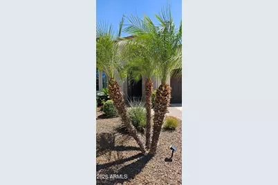 1807 E Alegria Road, Queen Creek, AZ 85140 - Photo 6