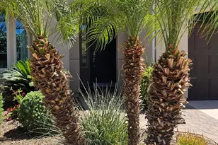 1807 E Alegria Rd, Queen Creek, AZ 85140 - Photo 6