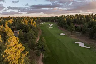 2911 S Solitaires Canyon Dr, Flagstaff, AZ 86005 - Photo 80