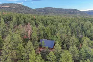5360 N Wild Turkey Circle, Pine, AZ 85544 - Photo 4