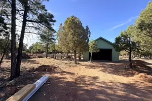 3266 Durango Dr, Happy Jack, AZ 86024 - Photo 2