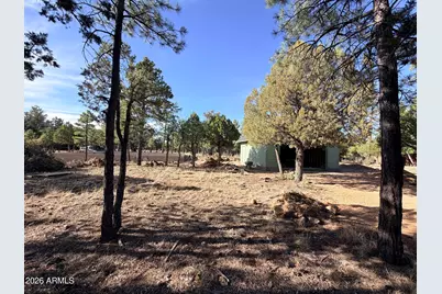 3266 Durango Drive, Happy Jack, AZ 86024 - Photo 4