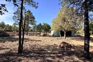3266 Durango Dr, Happy Jack, AZ 86024 - Photo 4