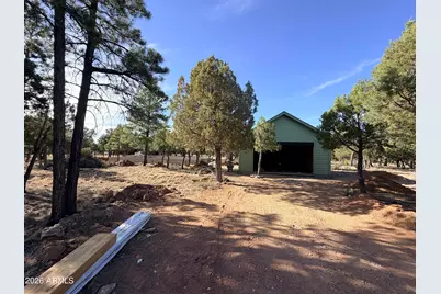 3266 Durango Drive, Happy Jack, AZ 86024 - Photo 8