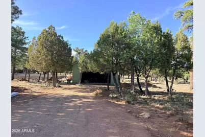 3266 Durango Drive, Happy Jack, AZ 86024 - Photo 6