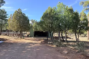 3266 Durango Dr, Happy Jack, AZ 86024 - Photo 6