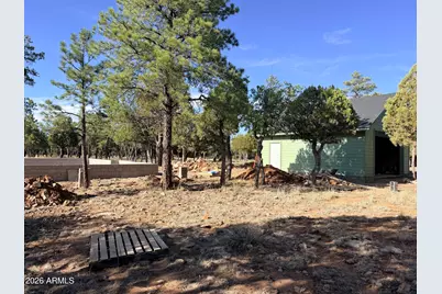 3266 Durango Drive, Happy Jack, AZ 86024 - Photo 8
