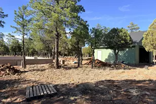 3266 Durango Dr, Happy Jack, AZ 86024 - Photo 8