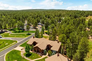 3724 W Torreon Ct, Show Low, AZ 85901 - Photo 46