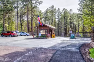 3263 Wild Rose Ln, Pinetop, AZ 85935 - Photo 28
