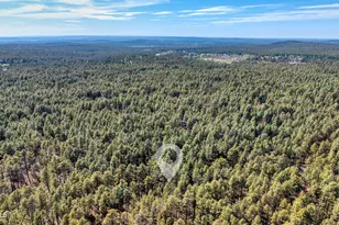 3263 Wild Rose Ln, Pinetop, AZ 85935 - Photo 30