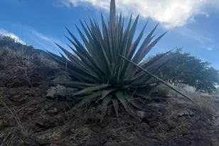 820C Tombstone Canyon, Bisbee, AZ 85603 - Photo 18