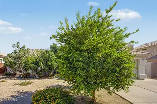 1553 W Chicago St, Chandler, AZ 85224 - Photo 2