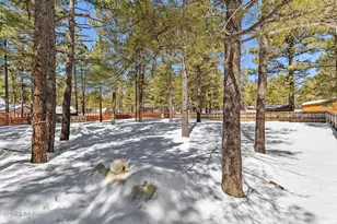 1678 N Spring Valley Rd, Parks, AZ 86018 - Photo 32