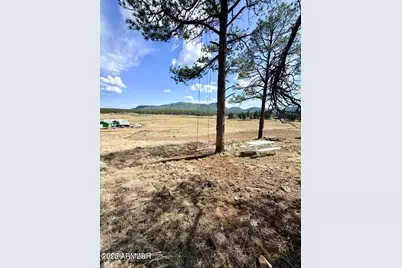 27 County Road 2330 -- #32, Alpine, AZ 85920 - Photo 6