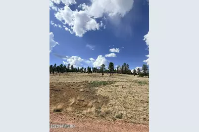 27 County Road 2330 -- #32, Alpine, AZ 85920 - Photo 4