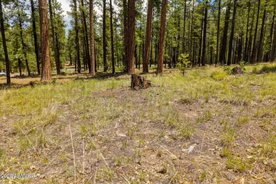 98 County Road  2266 -- #n/a, Alpine, AZ 85920 - Photo 4