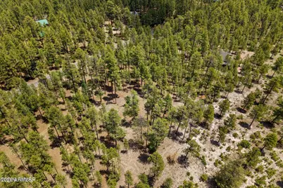 98 County Road  2266 -- #n/a, Alpine, AZ 85920 - Photo 8