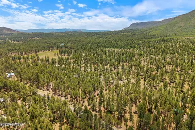 98 County Road  2266 -- #n/a, Alpine, AZ 85920 - Photo 12