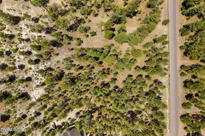 98 County Road  2266 -- #n/a, Alpine, AZ 85920 - Photo 2