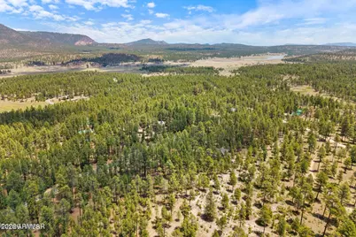 98 County Road  2266 -- #n/a, Alpine, AZ 85920 - Photo 14