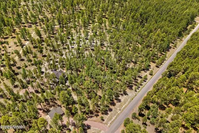 98 County Road  2266 -- #n/a, Alpine, AZ 85920 - Photo 10