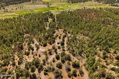 N2280 Noble Mountain Est -- #47, Nutrioso, AZ 85932 - Photo 8
