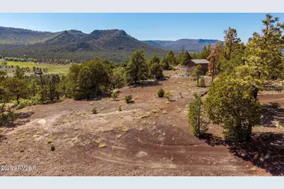 N2280 Noble Mountain Est -- #47, Nutrioso, AZ 85932 - Photo 4
