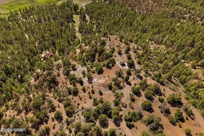 N2280 Noble Mountain Est -- #47, Nutrioso, AZ 85932 - Photo 16