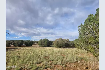 2429 Bourdon Ranch Road #F, Show Low, AZ 85901 - Photo 4