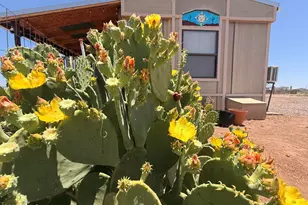 9153 N Central Hwy, Mc Neal, AZ 85617 - Photo 2