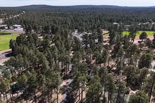 1941 W Oliver, Show Low, AZ 85901 - Photo 40