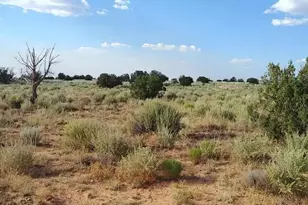 00 Kims Ranch Rd, Snowflake, AZ 85937 - Photo 1