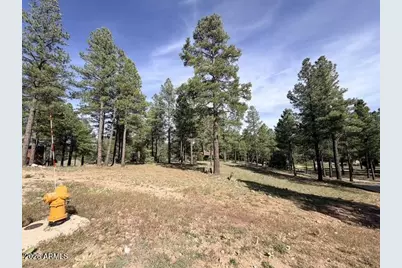 3698 S Woodland Hills Drive #383, Flagstaff, AZ 86005 - Photo 12