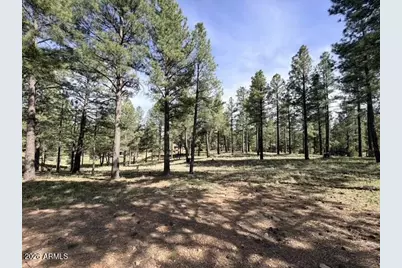 3698 S Woodland Hills Drive #383, Flagstaff, AZ 86005 - Photo 1