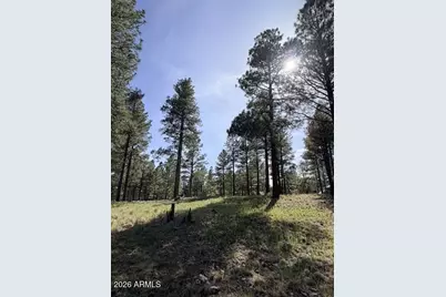 3698 S Woodland Hills Drive #383, Flagstaff, AZ 86005 - Photo 6