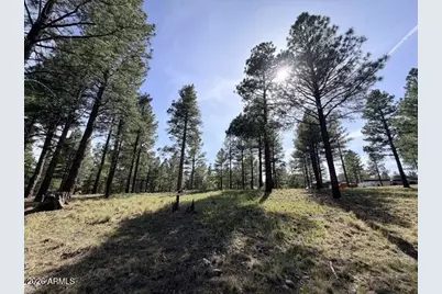 3698 S Woodland Hills Drive #383, Flagstaff, AZ 86005 - Photo 12