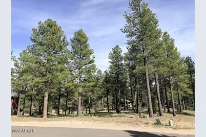 3698 S Woodland Hills Drive #383, Flagstaff, AZ 86005 - Photo 14