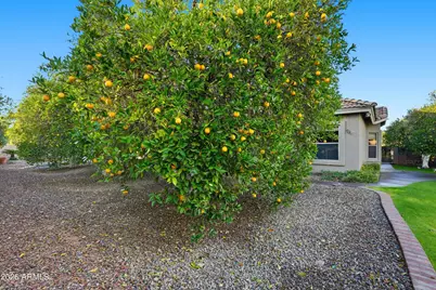 4335 E Fox Circle, Mesa, AZ 85205 - Photo 10