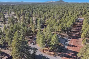 13112 E Fallow Deer Rd, Parks, AZ 86018 - Photo 34