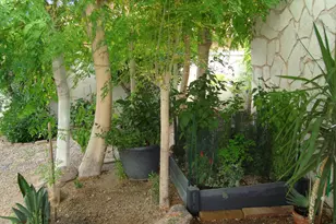 13607 W Pyracantha Dr, Sun City West, AZ 85375 - Photo 64