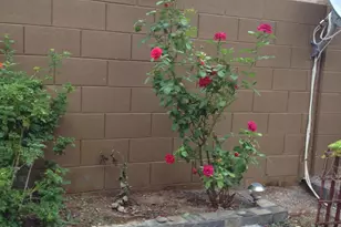 2048 W Monte Cristo Ave, Phoenix, AZ 85023 - Photo 10