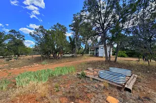 3405 Buckhorn Bend Rd, Overgaard, AZ 85933 - Photo 12