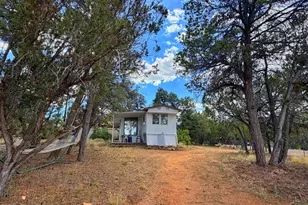 3405 Buckhorn Bend Rd, Overgaard, AZ 85933 - Photo 2