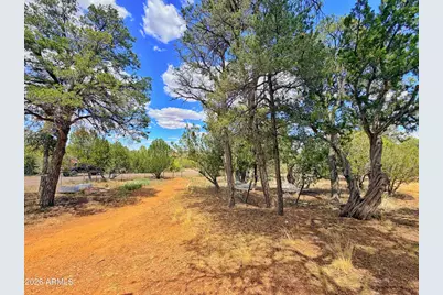 3405 Buckhorn Bend Road, Overgaard, AZ 85933 - Photo 10