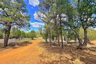 3405 Buckhorn Bend Rd, Overgaard, AZ 85933 - Photo 10