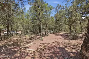 3225 N Southard Dr, Pine, AZ 85544 - Photo 32