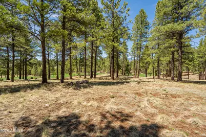 3663 S Woodland Hills Drive #365, Flagstaff, AZ 86005 - Photo 2