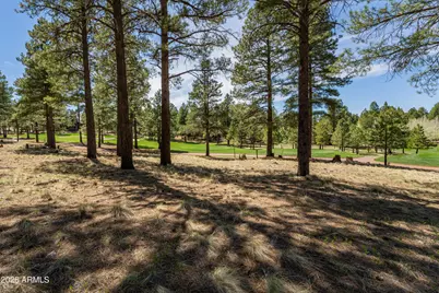 3663 S Woodland Hills Drive #365, Flagstaff, AZ 86005 - Photo 4